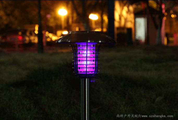 戶(hù)外滅蚊燈夜間工作實(shí)拍