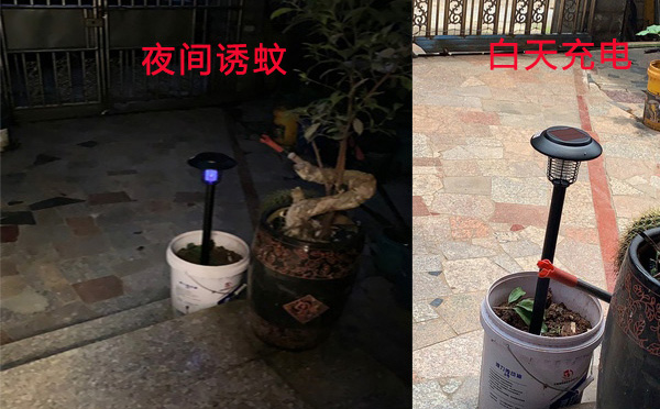 尚科SX08戶(hù)外滅蚊燈價(jià)格圖片