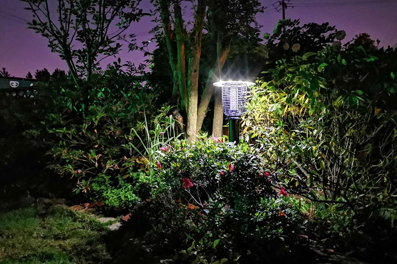 合肥大觀(guān)園景觀(guān)公司景觀(guān)太陽(yáng)能滅蚊燈實(shí)拍