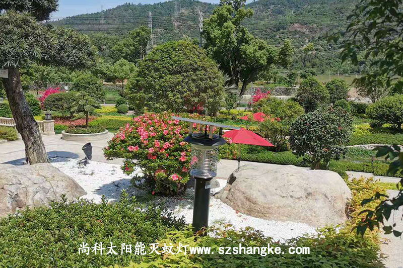 浙江溫州高檔小區太陽(yáng)能室外殺蚊燈效果圖片