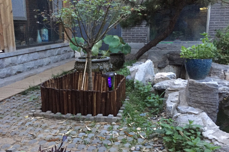 農村庭院滅蚊技巧—太陽(yáng)能滅蚊燈