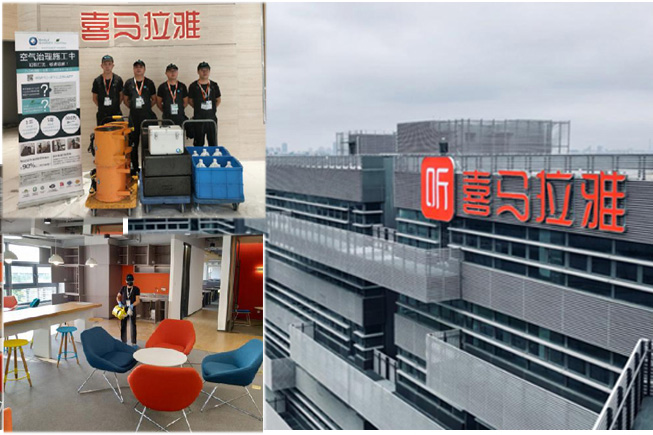 寫(xiě)字樓如何滅蚊子和蒼蠅