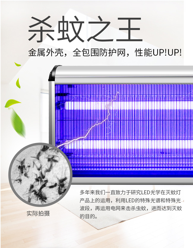 室內電擊式滅蠅燈EGO-20W