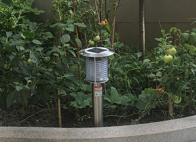 室外滅蚊蟲(chóng)燈的工作原理詳解，了解如何驅趕蚊蟲(chóng)